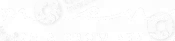 logo light